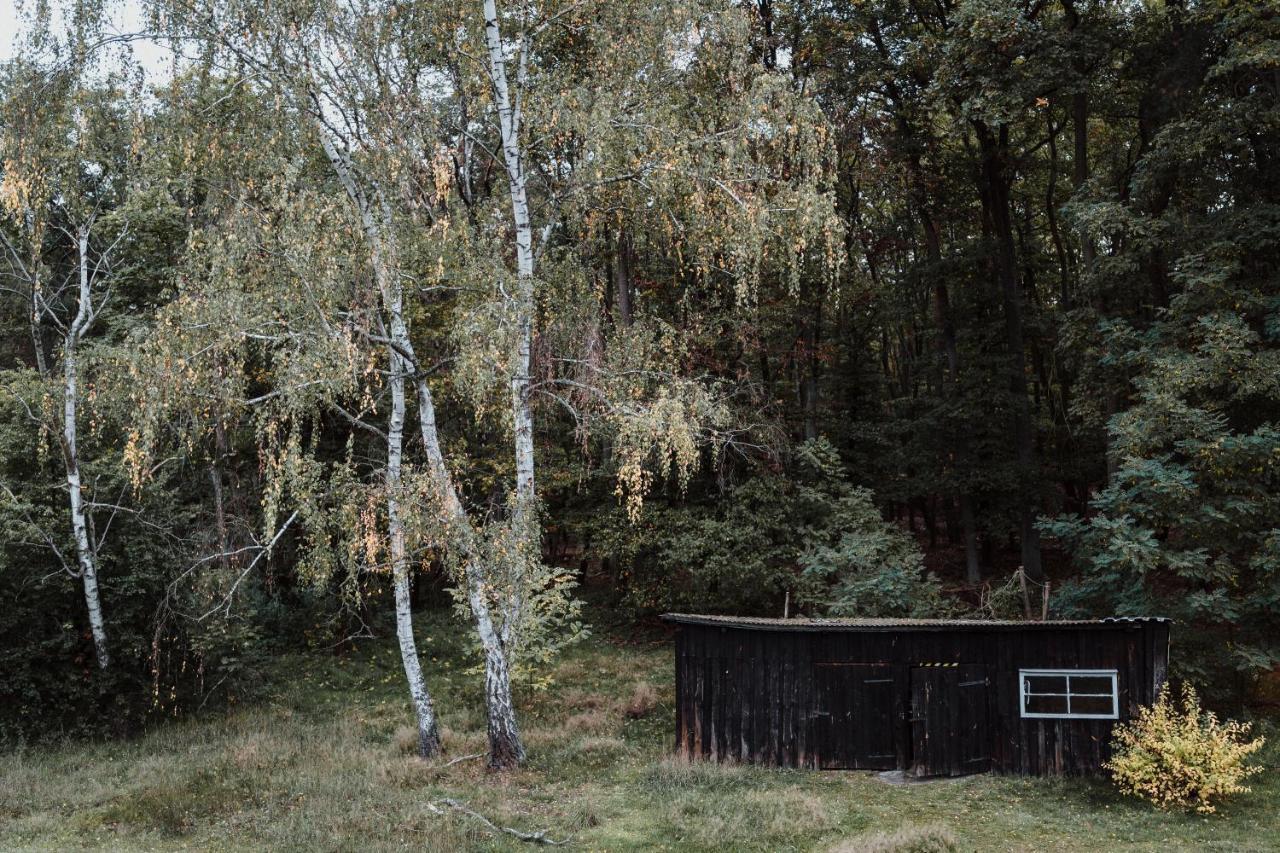Markische HeideSpreewaldhaus Am Landgut - Pretschenアパートメント エクステリア 写真